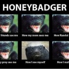 HoneyBadger